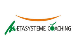 Metasysteme Coaching