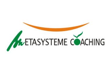 Metasysteme Coaching
