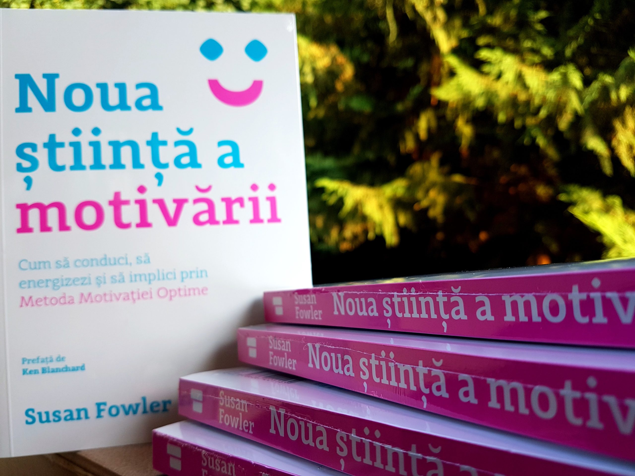 Motivatia Optima. Book Summary: O perspectiva prin care ne uitam la ceea ce facem